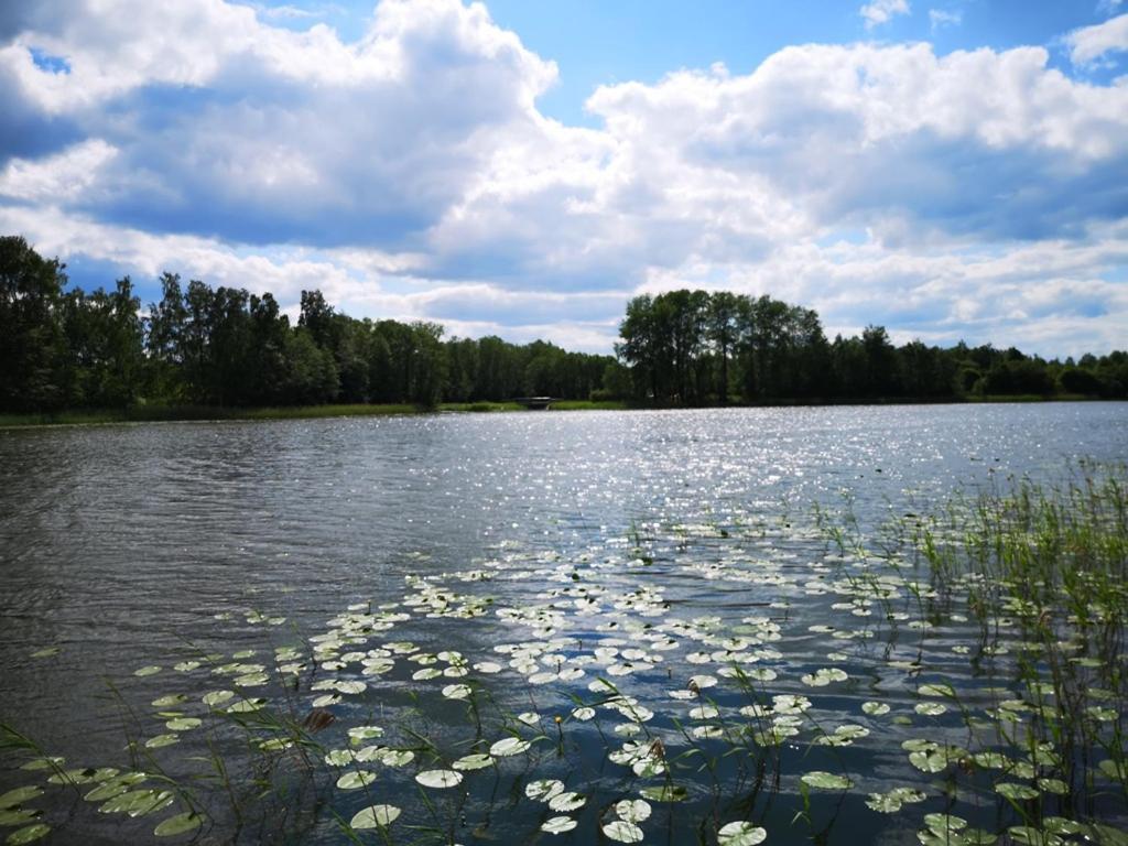 Sodyba Brazylija Taraldziai Exteriér fotografie